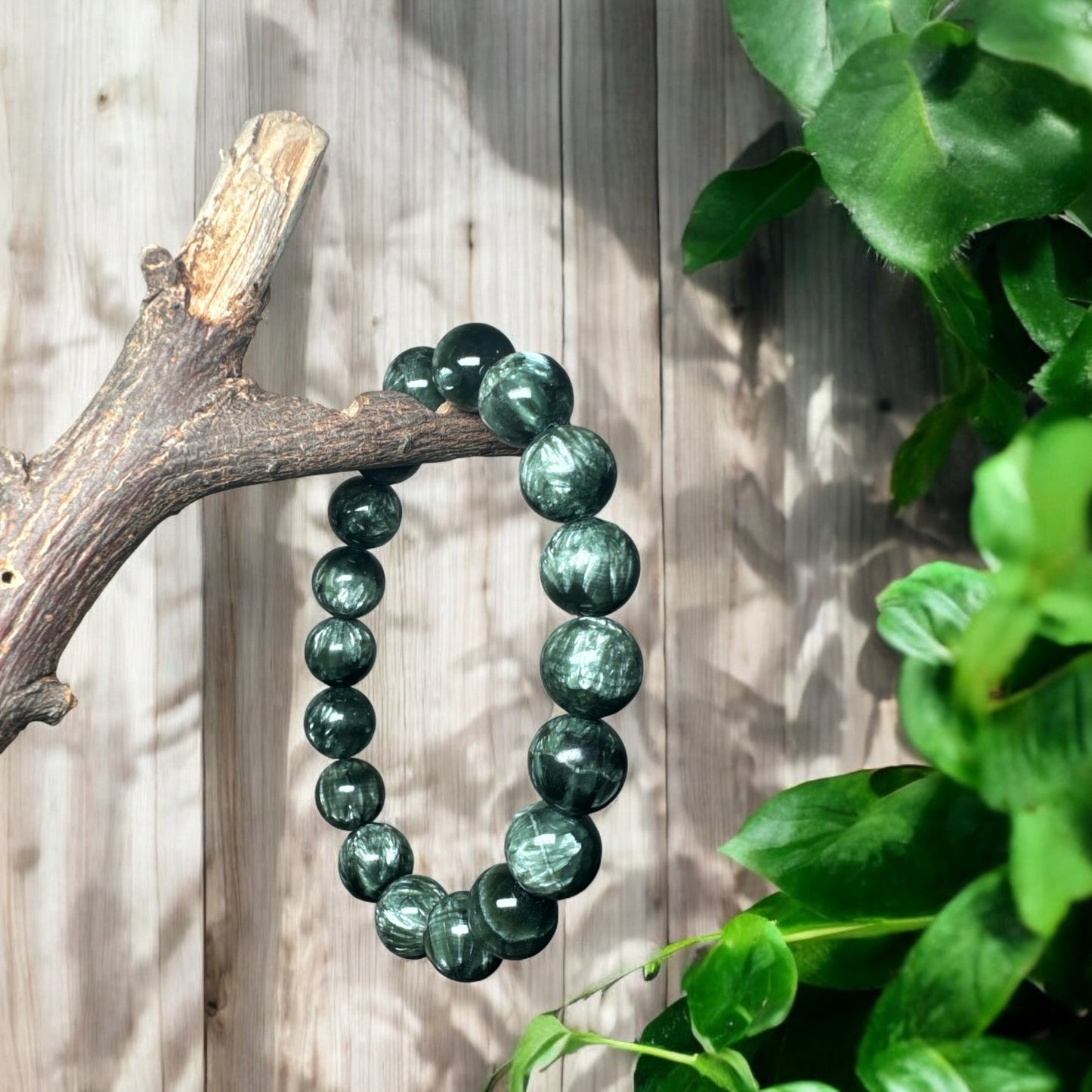 Rare Seraphinite Bracelet AAA Grade 11mm