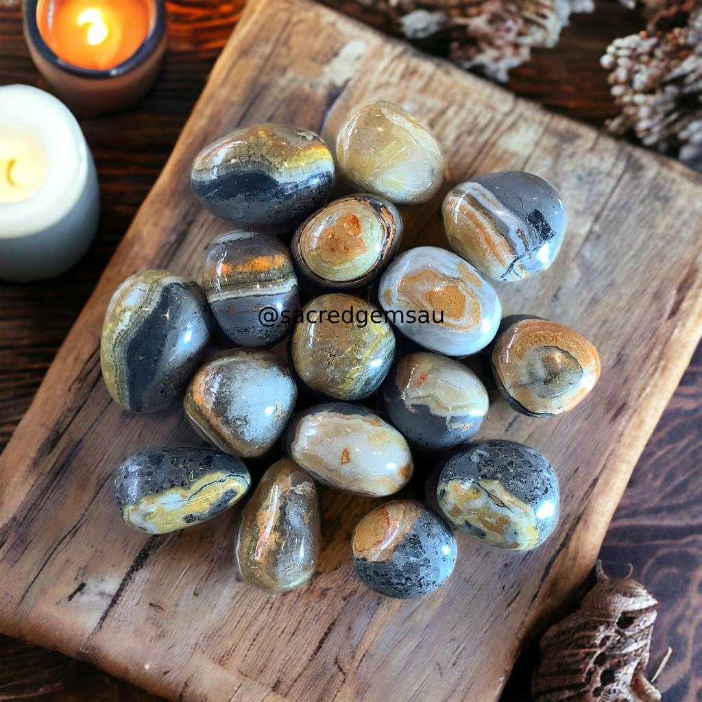 Bumblebee Jasper Tumble