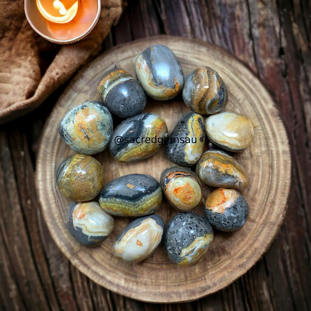 Bumblebee Jasper Tumble
