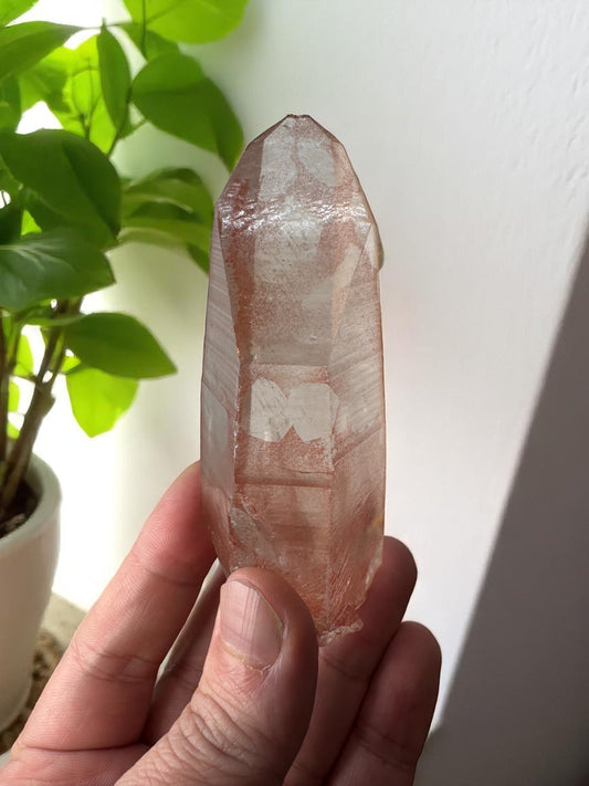 Scarlet Temple Pink Lemurian Quartz STPL1