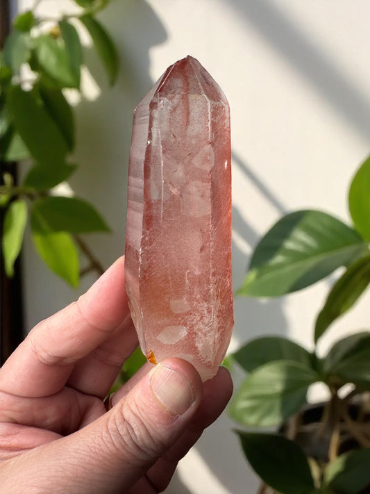 Scarlet Temple Pink Lemurian Quartz STPL7