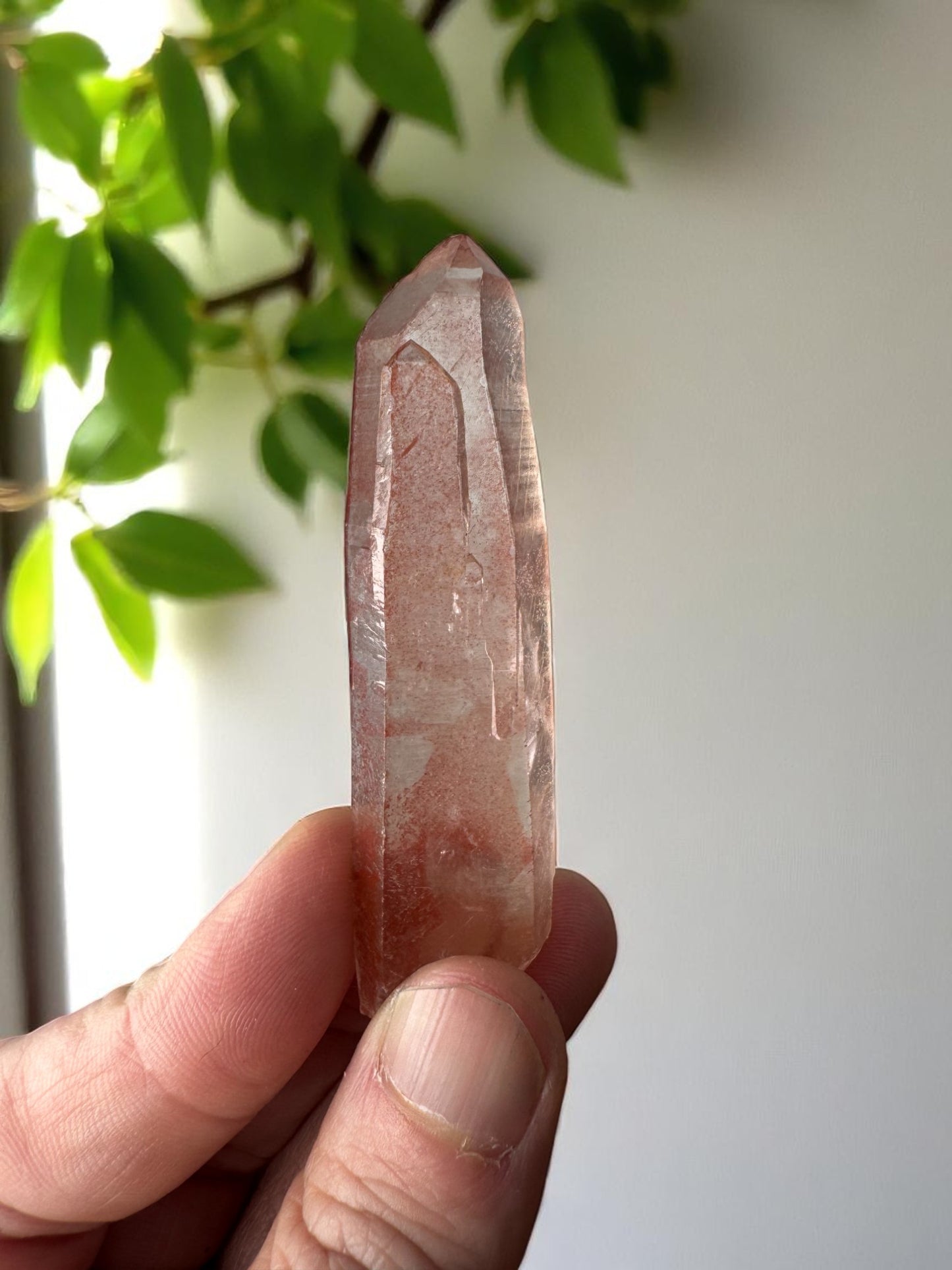 Scarlet Temple Pink Lemurian Quartz STPL11