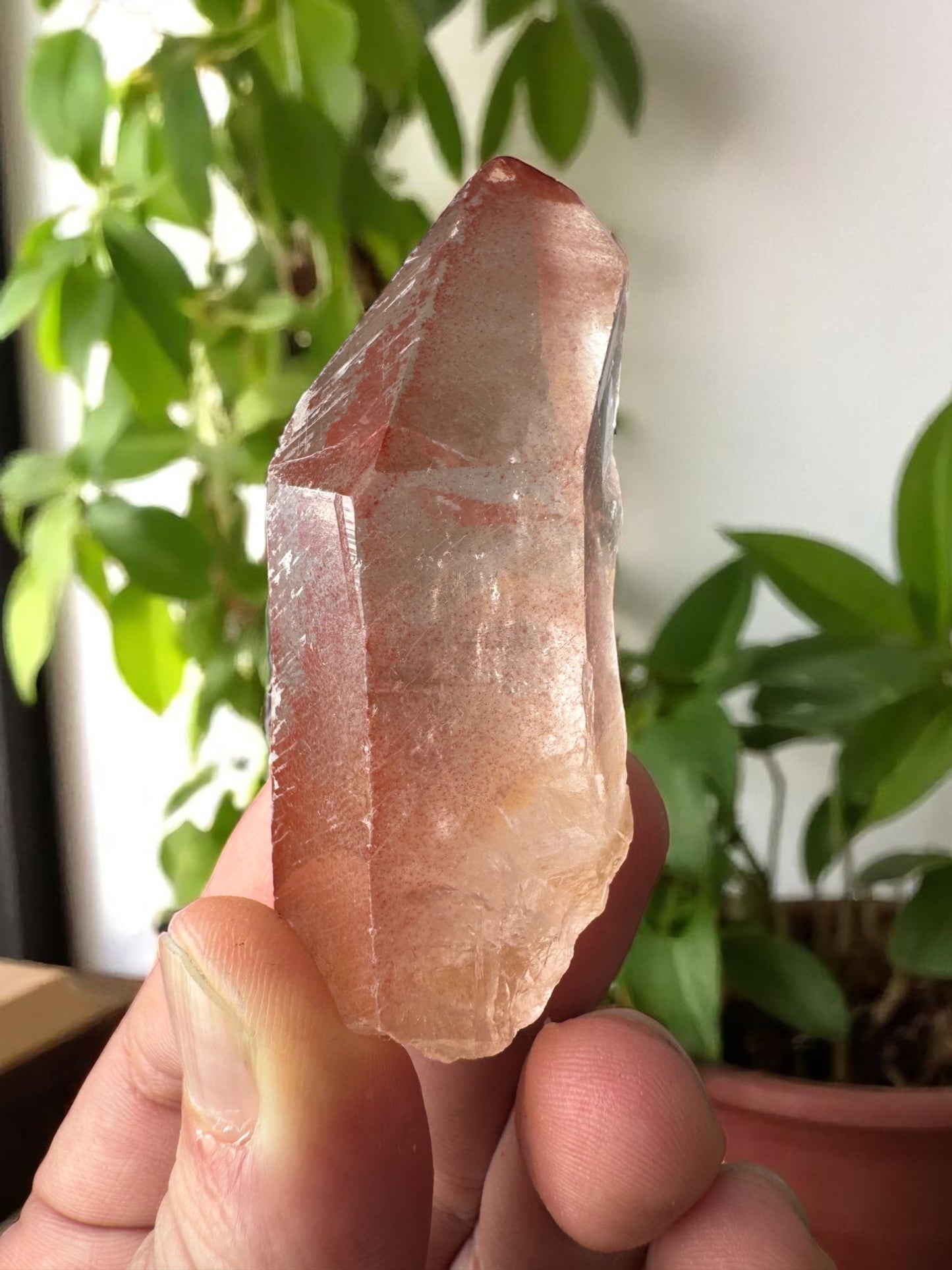 Scarlet Temple Pink Lemurian Quartz STPL13