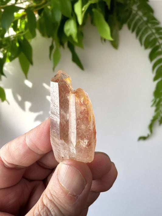 Scarlet Temple Pink Lemurian Quartz STPL17