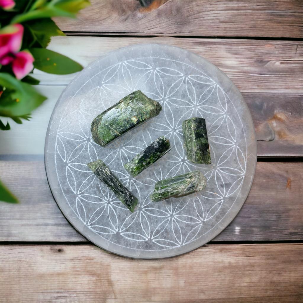 Chrome Diopside Specimen Pack of 5 small - Pakistan