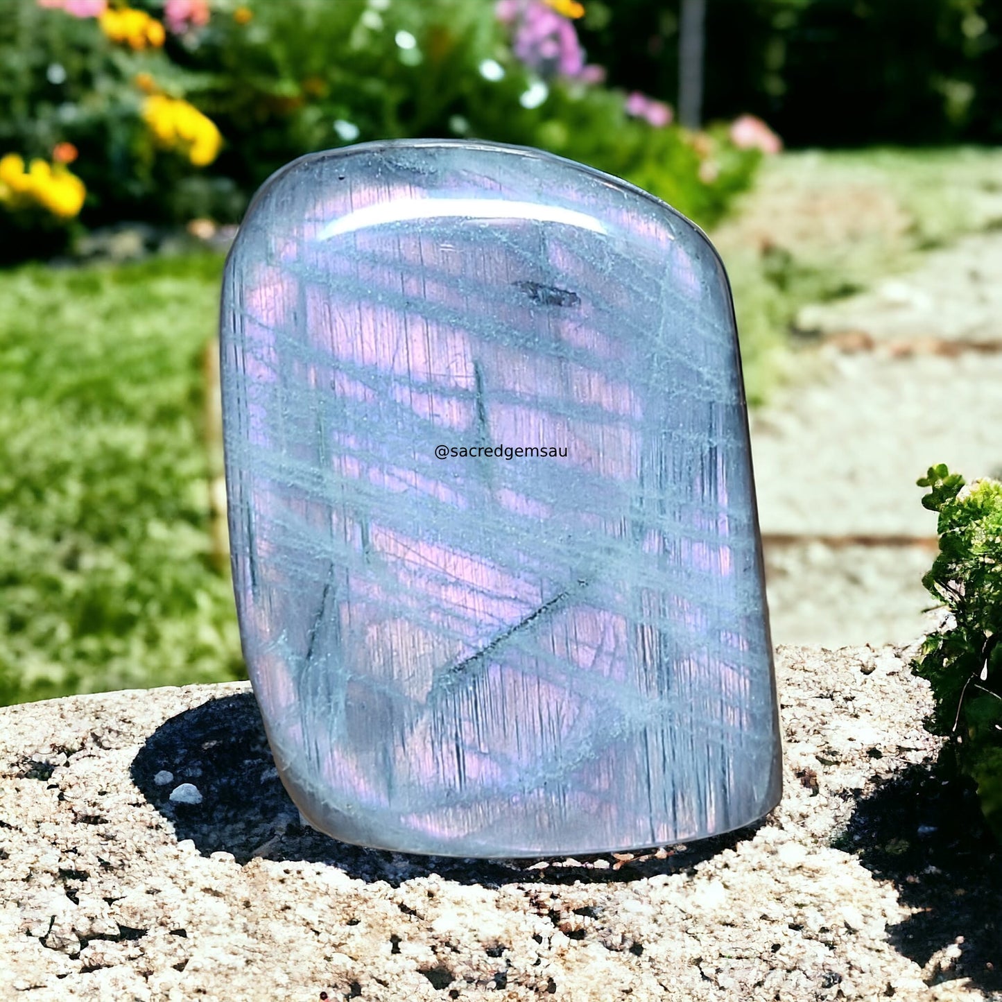 Purple Labradorite Free Form PLB003