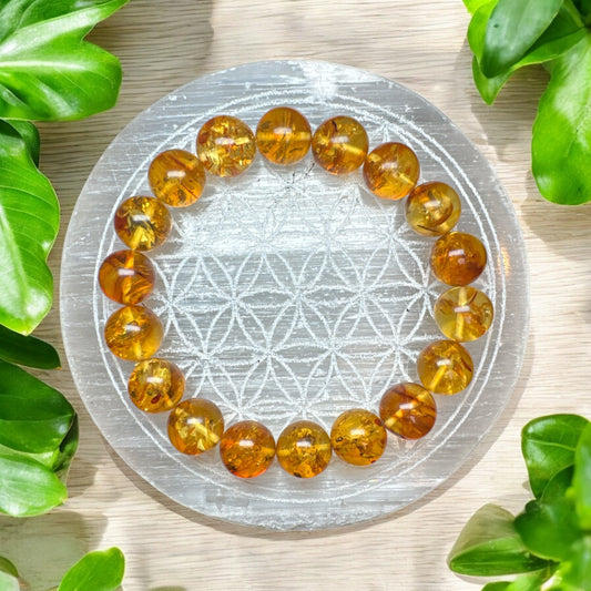 Flower Amber 12mm Bracelet. Warmth • Vitality • Timeless Beauty