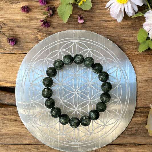 Rare Seraphinite Bracelet AAA Grade 11mm