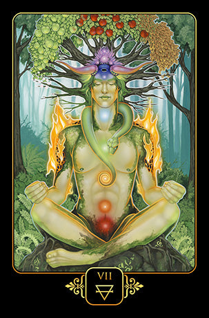 Dreams of Gaia Tarot Set