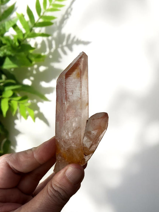 Scarlet Temple Pink Lemurian Quartz STPL2