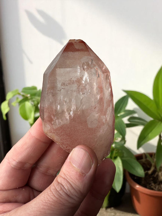 Scarlet Temple Pink Lemurian Quartz STPL5