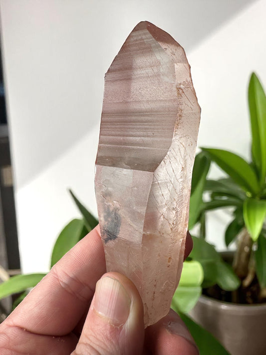 Scarlet Temple Pink Lemurian Quartz STPL6