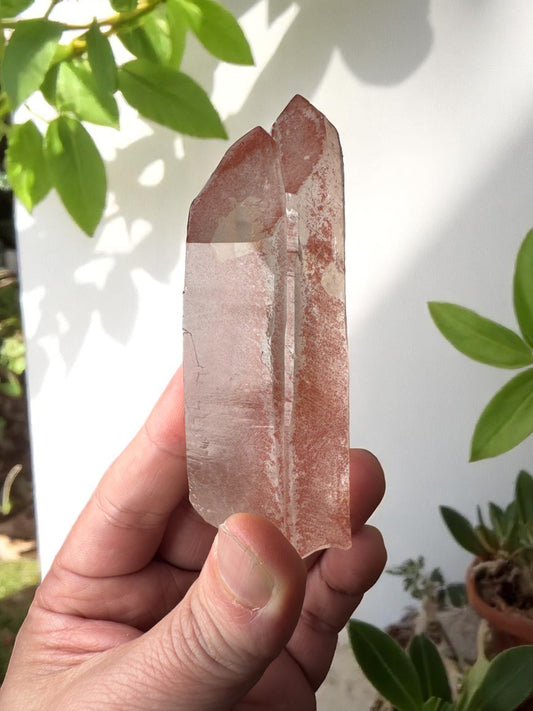 Scarlet Temple Pink Lemurian Quartz STPL8