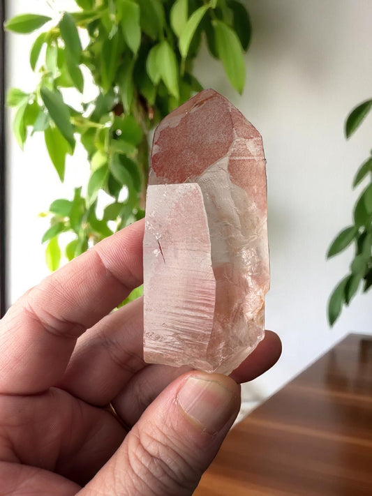 Scarlet Temple Pink Lemurian Quartz STPL9
