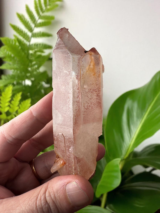 Scarlet Temple Pink Lemurian Quartz STPL10