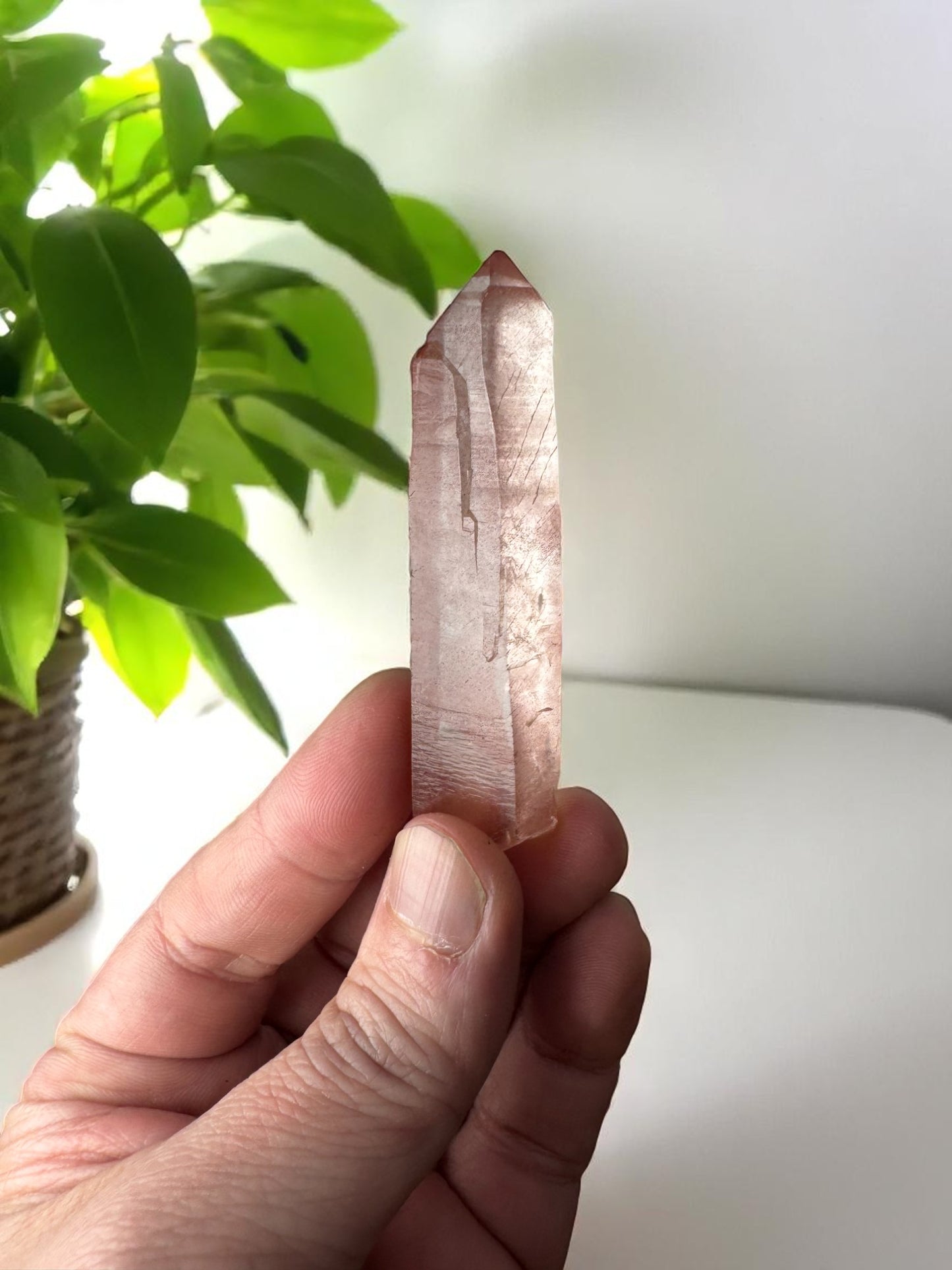 Scarlet Temple Pink Lemurian Quartz STPL11