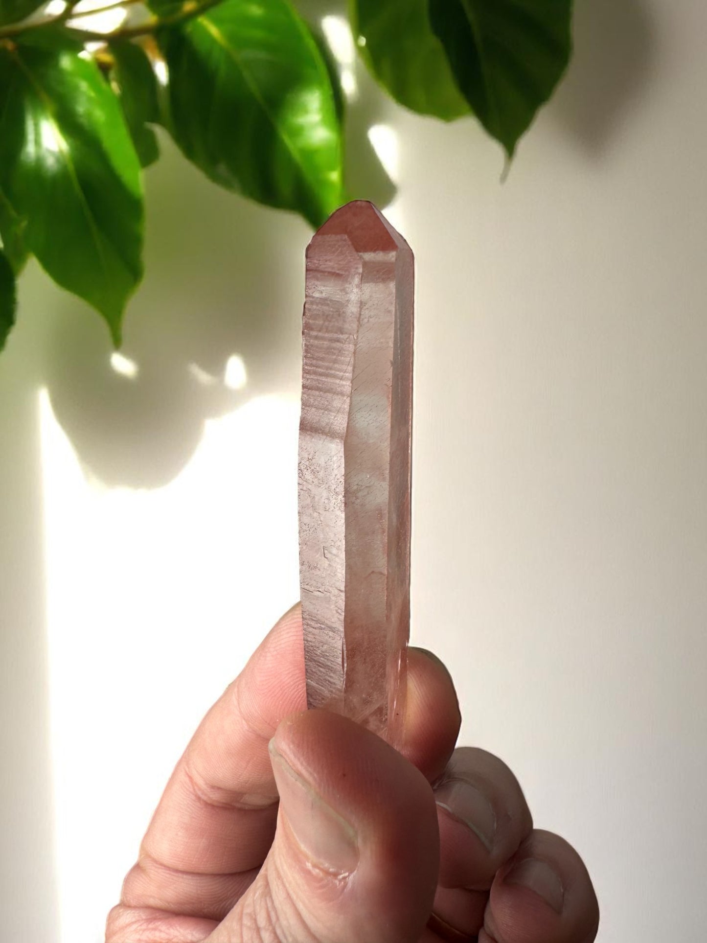 Scarlet Temple Pink Lemurian Quartz STPL11