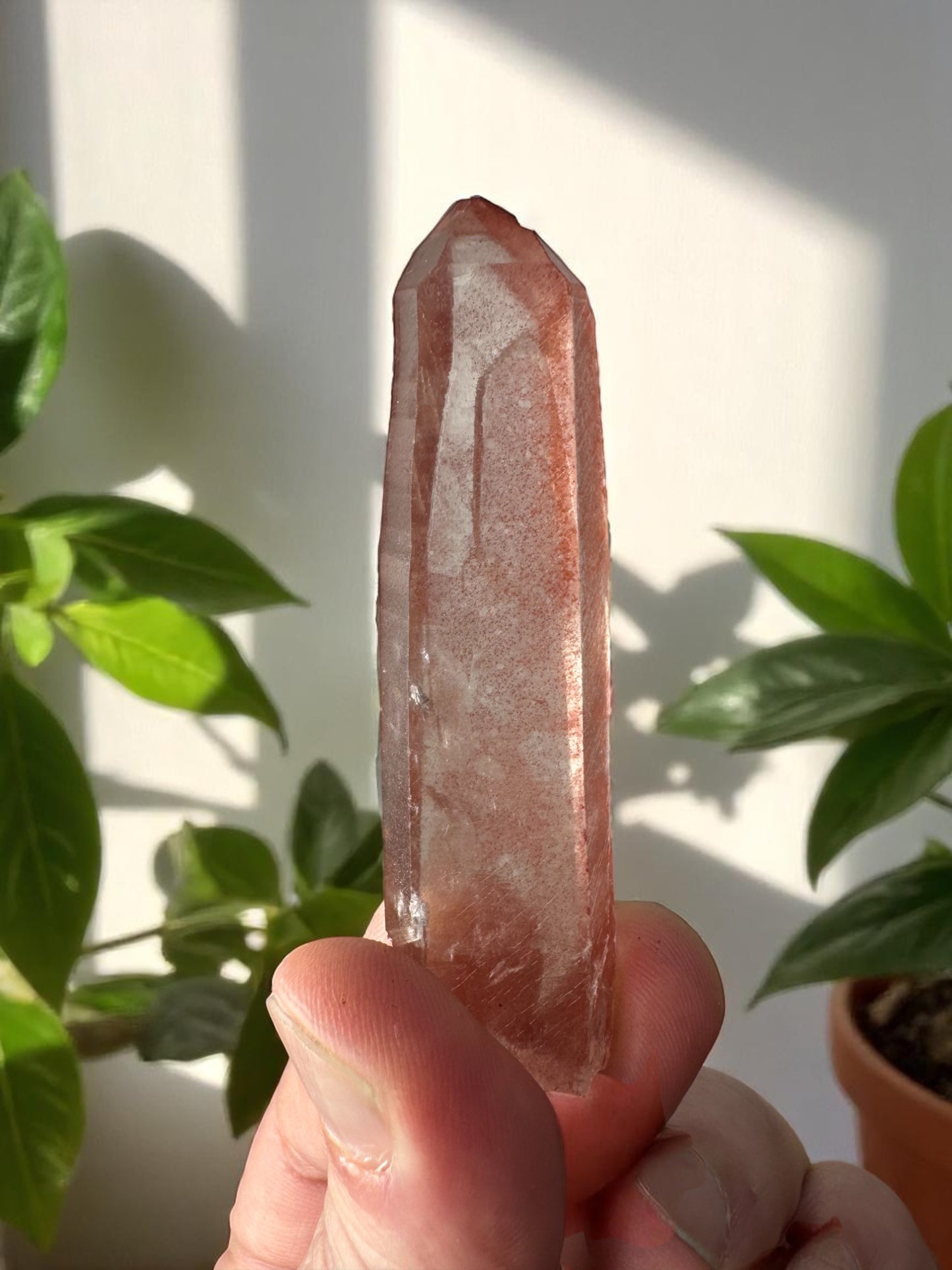 Scarlet Temple Pink Lemurian Quartz STPL11
