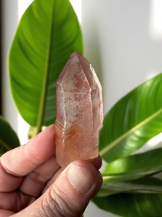 Scarlet Temple Pink Lemurian Quartz STPL13